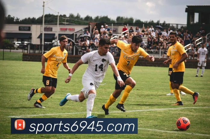 多媒体互动体验